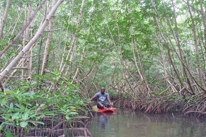 Billet Tour en paddle surf à Guadeloupe