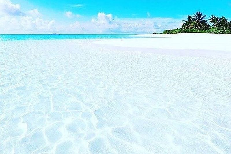 Billet Excursion au Restaurant The Rock et à la Lagune Bleue à Zanzibar