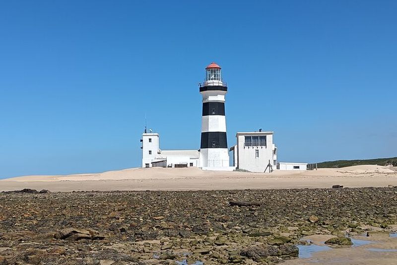 Billet Visite guidée côtière à Port Elizabeth