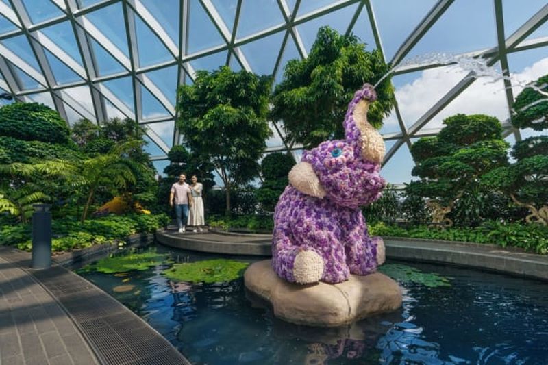 Billet Billets pour le Canopy Park de l'aéroport de Singapour