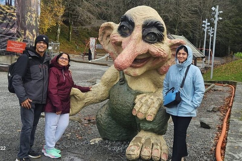 Billet Visite privée de Bergen