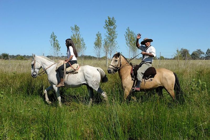 Billet Excursion à cheval dans la Pampa depuis Buenos Aires