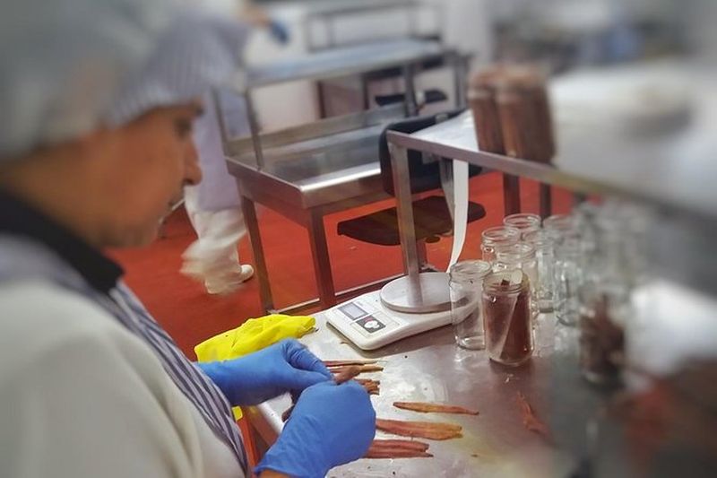 Billet Excursion à une usine d'anchois de Santoña depuis Santander avec promenade en bateau