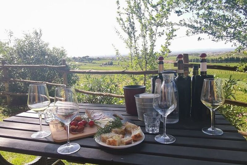 Billet Visite d'un vignoble avec dégustation de vin à Frascati