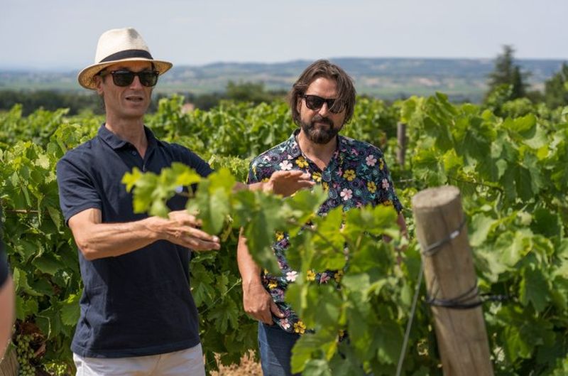 Billet Visite des vignobles de Châteauneuf-du-Pape au départ d'Avignon