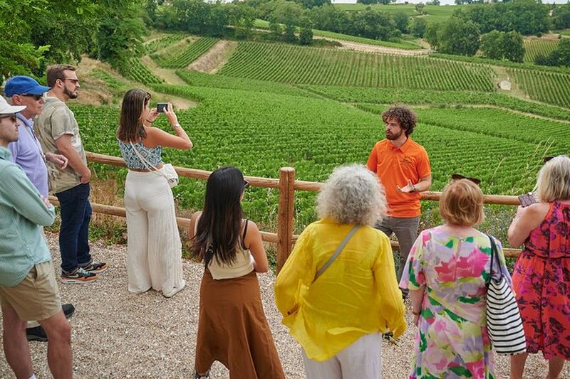 Billet Dégustation de vins à Saint-Émilion