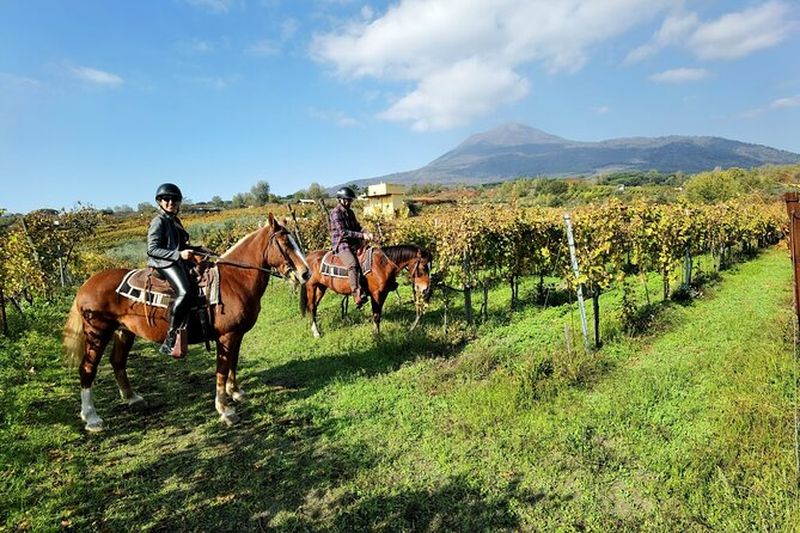 Billet Balade à cheval sur le mont Vésuve avec transport depuis Pompéi