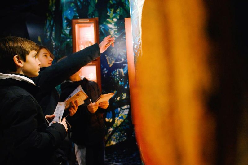 Billet Billets pour le Musée du Chocolat de Paris