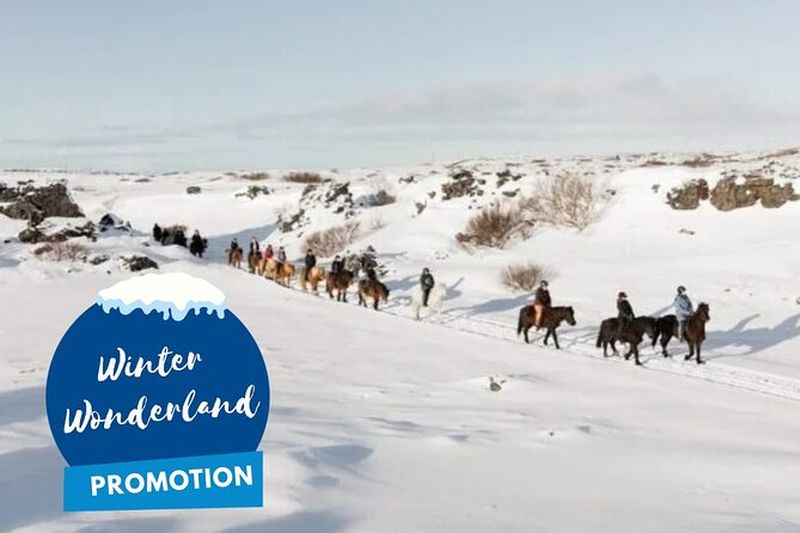 Billet Balade à cheval à Reykjavik