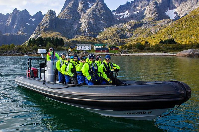 Billet Excursion d'observation des oiseaux au Trollfjord depuis Svolvær