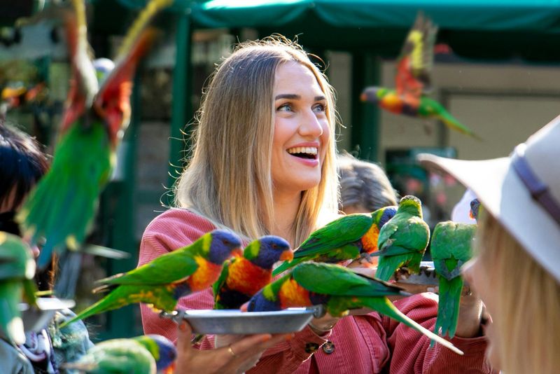 Billet Billets pour le Currumbin Wildlife Sanctuary