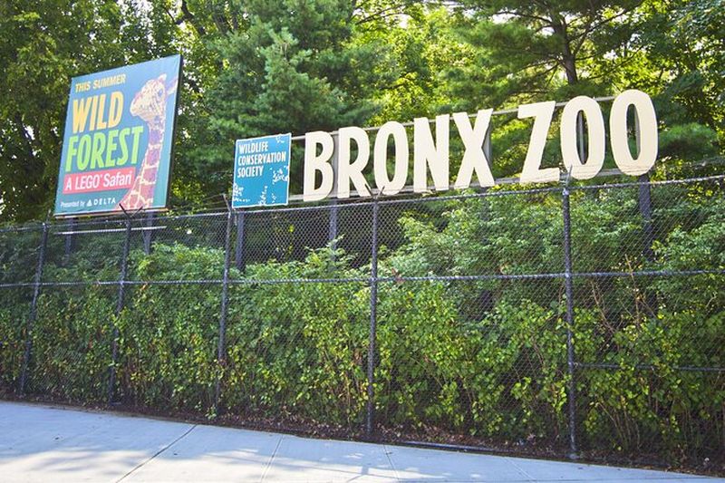 Billet Billets coupe-file pour le zoo du Bronx avec transferts privés