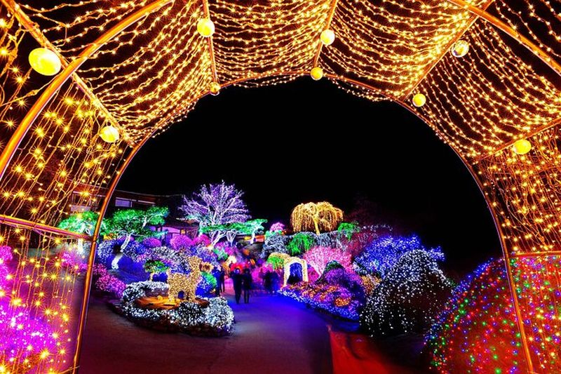 Billet Excursion à l'Île Nami au départ de Séoul avec visite du Jardin de la Sérénité Matinale