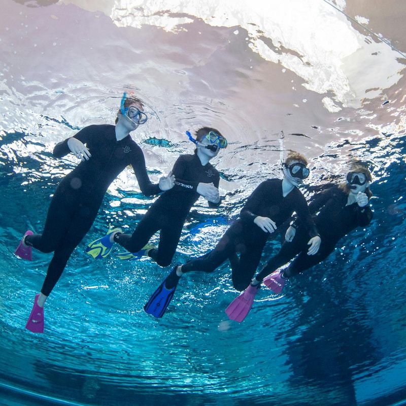 Billet Expérience de snorkeling au Deep Dive Dubai