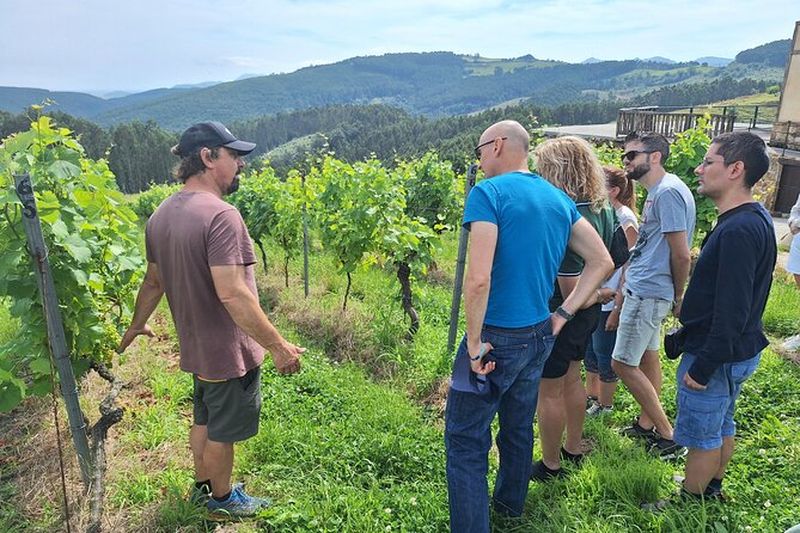 Billet Tour gastronomique à Santander
