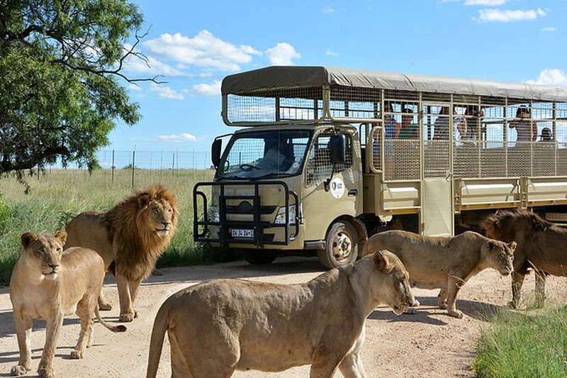 Billet Billets pour le Lion and Safari Park à Pretoria