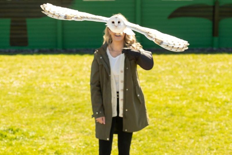 Billet Excursion d'une journée aux falaises de Moher et à Galway depuis Dublin avec tour en bateau