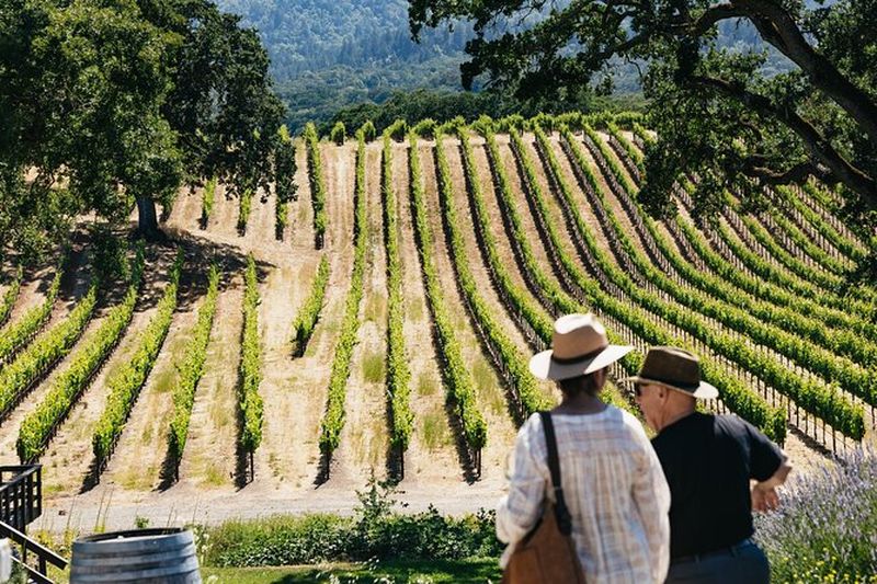 Billet Excursion viticole dans les vallées de Napa et Sonoma au départ de San Francisco