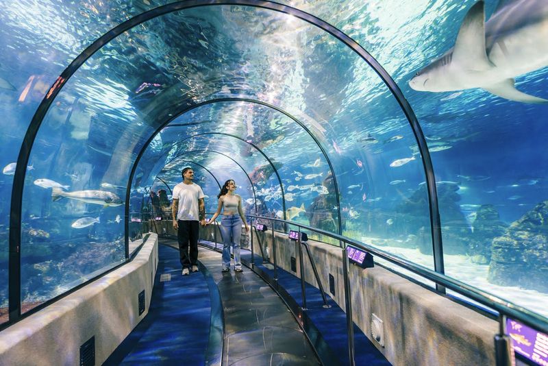 Billet Billets flexibles pour l'Aquarium de Barcelone (sans date ni heure programmées)