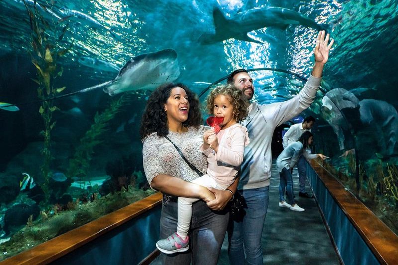 Billet Loro Parque Diamond Pass avec visite guidée