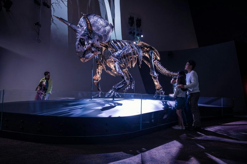 Billet Billets pour le Melbourne Museum
