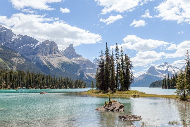 Billet Visite guidée de la nature du Parc National de Jasper