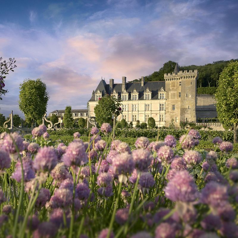 Billet Billets pour le château de Villandry