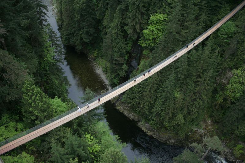 Billet Tour en bus à Vancouver avec billets pour le pont suspendu de Capilano
