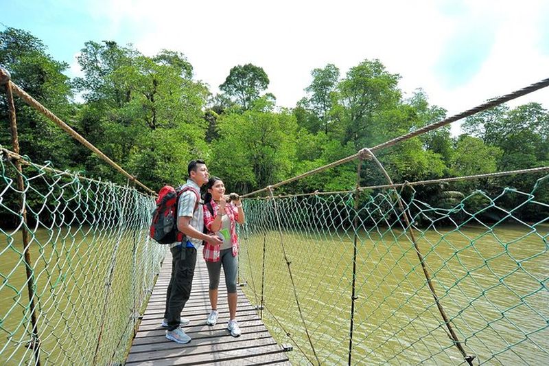 Billet Excursion à Taman Negara depuis Kuala Lumpur