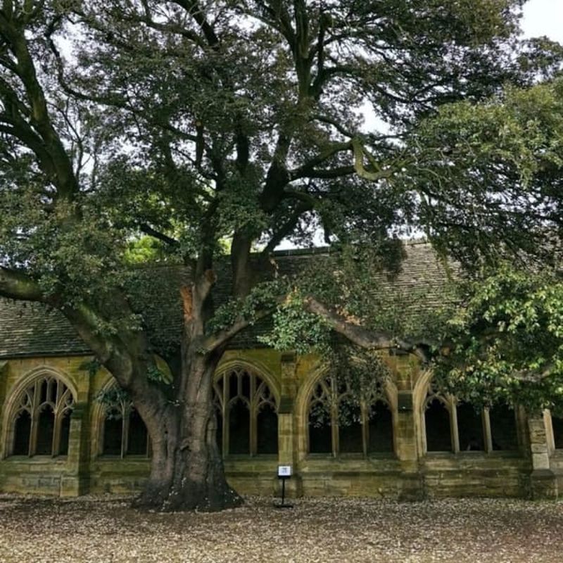 Billet Tour de Harry Potter à Oxford