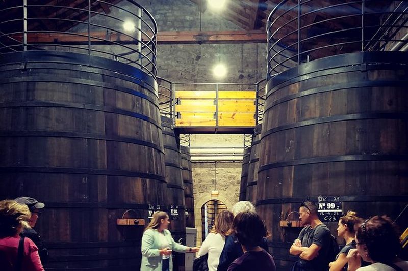 Billet Visite de caves à vin d'une demi-journée dans la région de Madrid