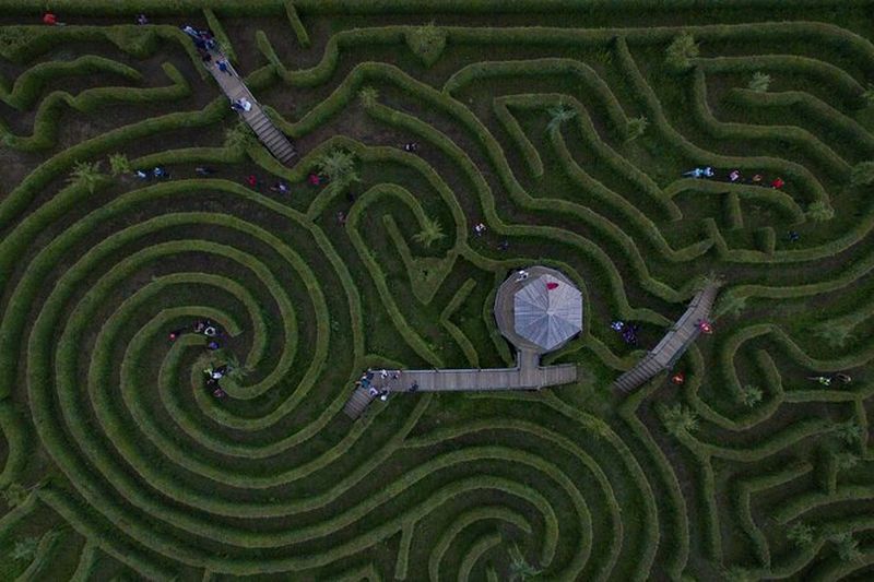 Billet Billets pour le Parc de Nature et Aventure Alpinia à Puebla