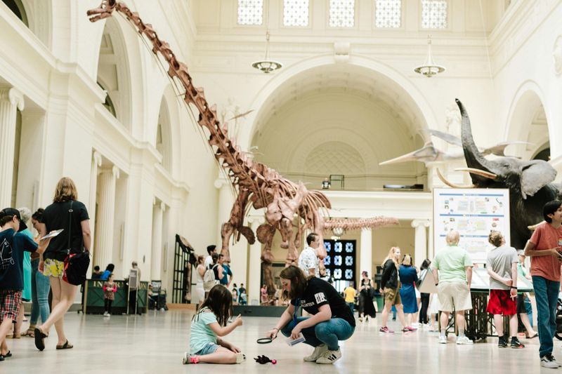 Billet Billets pour le Musée Field d'Histoire Naturelle de Chicago