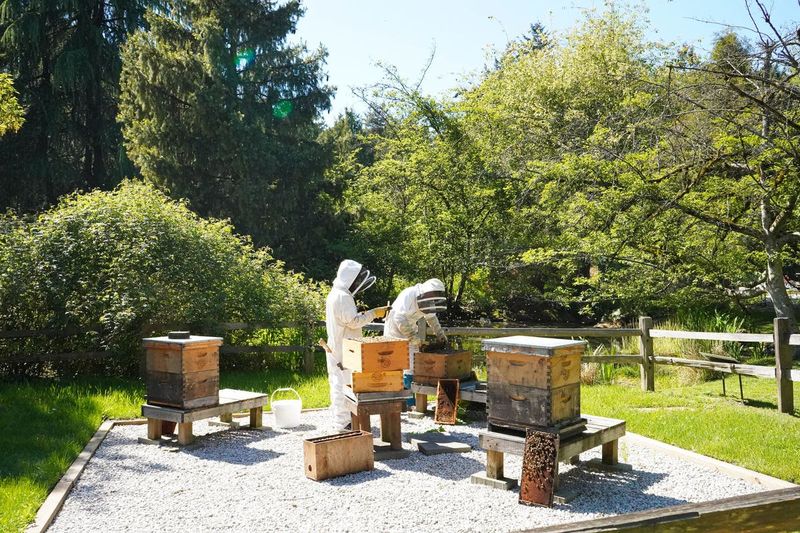 Billet Billets pour le jardin botanique VanDusen à Vancouver