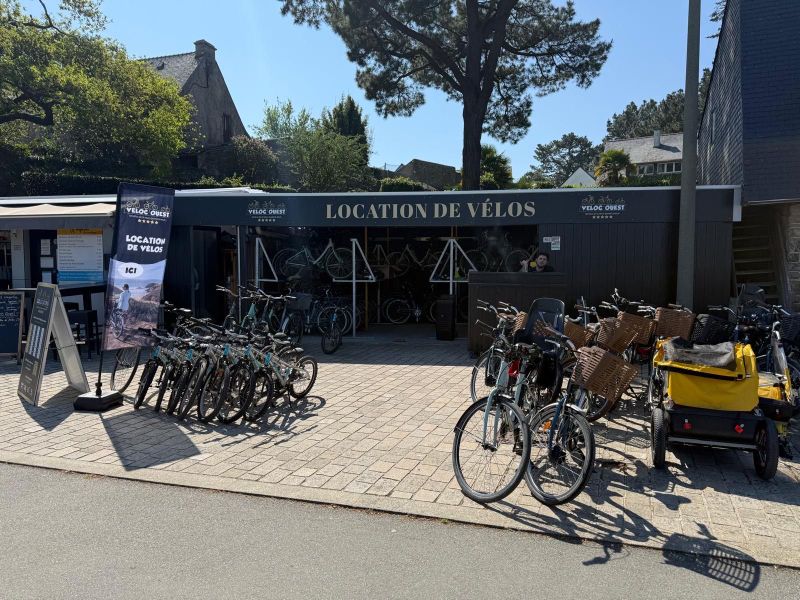 Billet Location de vélos chez Location du Port Ile aux Moines