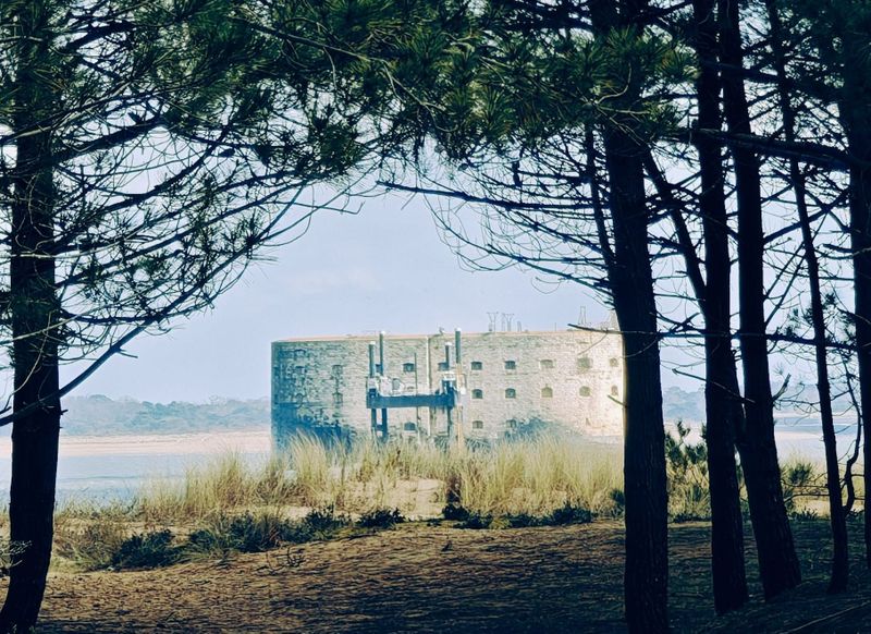 Billet Location de vélos chez ROUELIBRE BOYARDVILLE