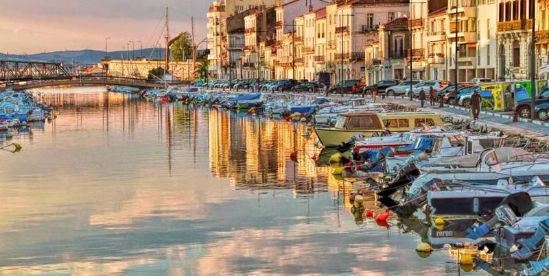 Billet Location de vélos chez Véloc'Sud Location Le Castellas