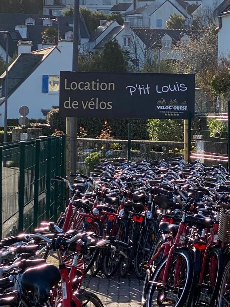 Billet Location de vélos chez Ile aux Moines P'tit Louis