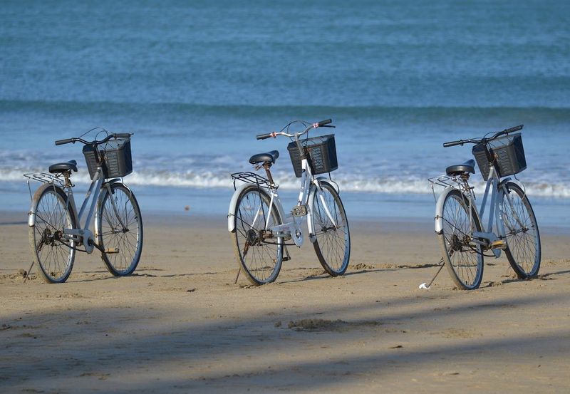 Billet Location de vélos chez ARTIMON BIKE Marseillan