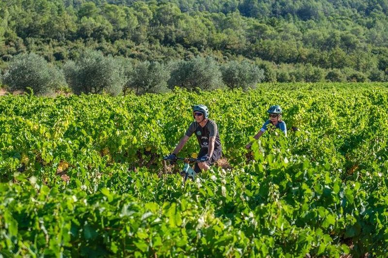 Billet Location de vélos chez Cycles Thaon - Bike Adventure