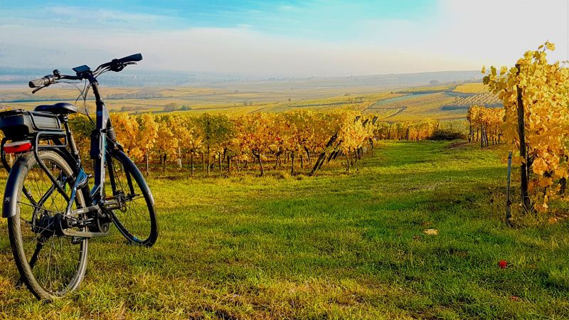 Billet Location de vélos chez Alsa Cyclo Tours Strasbourg