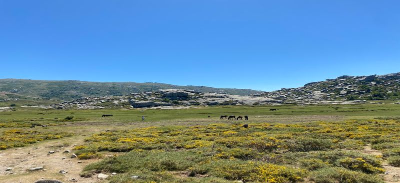 Billet Location de vélos chez B&S bike