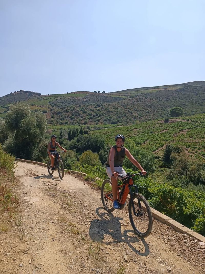 Billet Location de vélos chez Bike Truck Albera