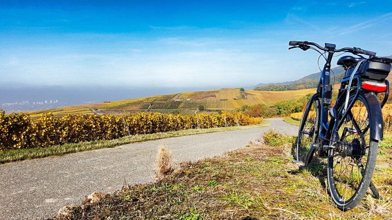 Billet Location de vélos chez Alsa Cyclo Tours Eguisheim