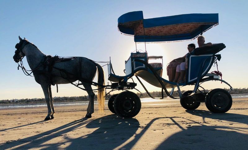Billet Promenade en calèche d'une demi-journée sur le lagon avec baignade et déjeuner