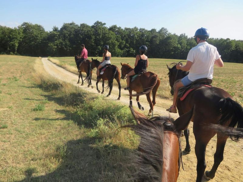 Billet Randonnée à cheval en Toscane