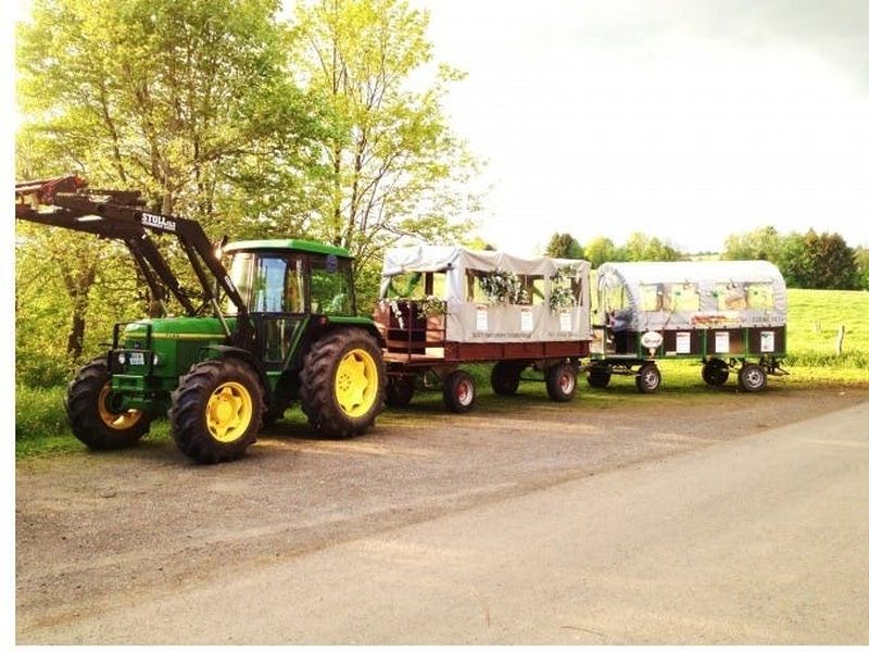 Billet Visite du vignoble en wagon couvert avec dégustation de vin près de Stuttgart