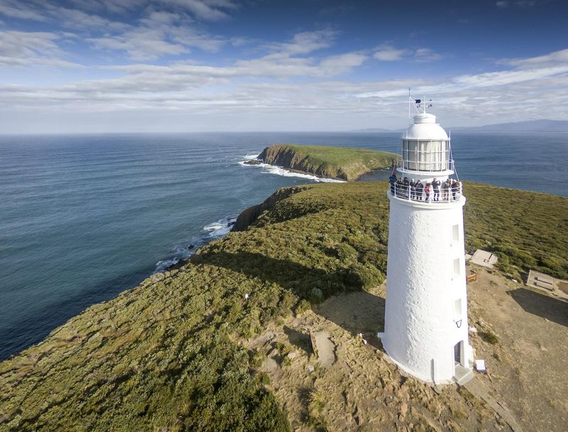 Billet Safaris sur l'île Bruny, dégustation de plats locaux et visite du phare