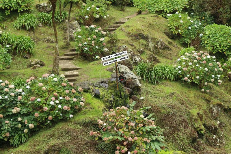 Billet Excursion d'une journée en jeep à la déroute Nordeste en 4x4 tout-terrain