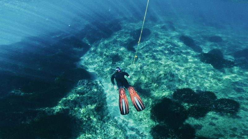 Billet Excursion de plongée avec tuba avec des guides certifiés à Cambrils